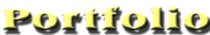 Portfolio text